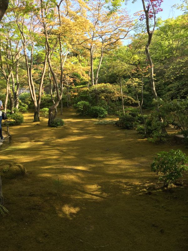 kyoto,japon,arashiyama