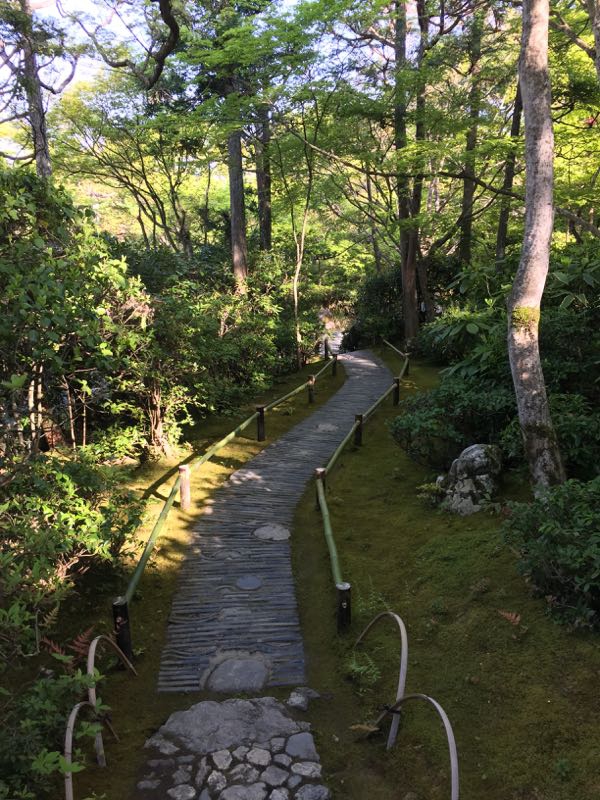 kyoto,japon,arashiyama